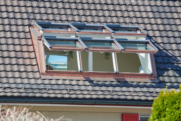 Flury NW Stans MFH Intro 07