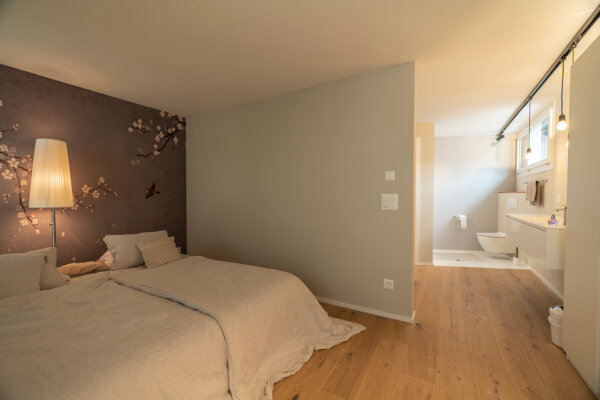 Flury NW Stans Altbau Intro 04