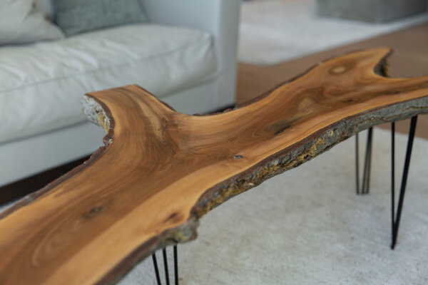 Flury NW Ennetbuergen Cordani Intro 03